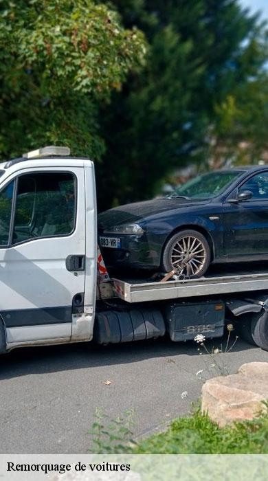 Remorquage de voitures la-haute-maison-77580 Speed Auto