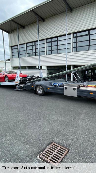 Transport Auto national et internationnal  chateau-landon-77570 Speed Auto